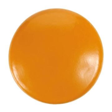 Image de Maasdammer jaune